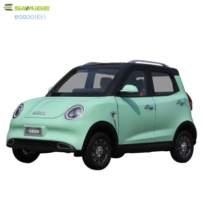 미국 시장용 EEC를 갖춘 Saige High Motor E Car